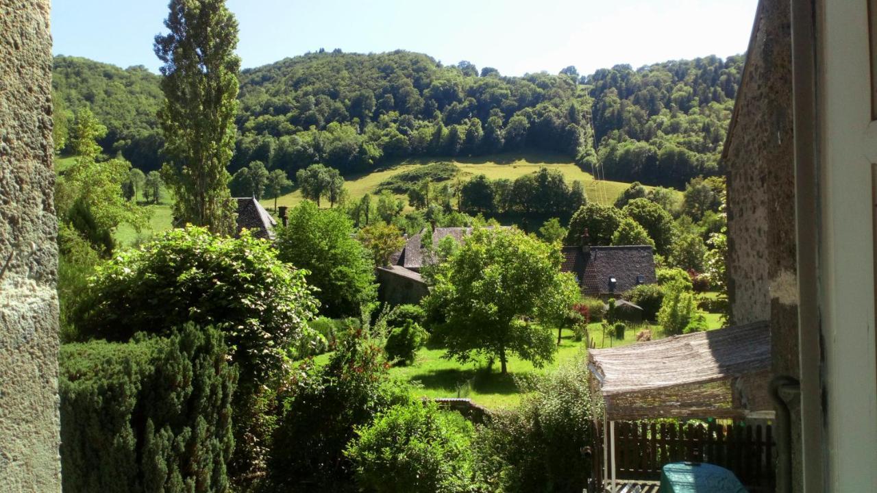 Gite De L Aspre Fontanges Exteriör bild