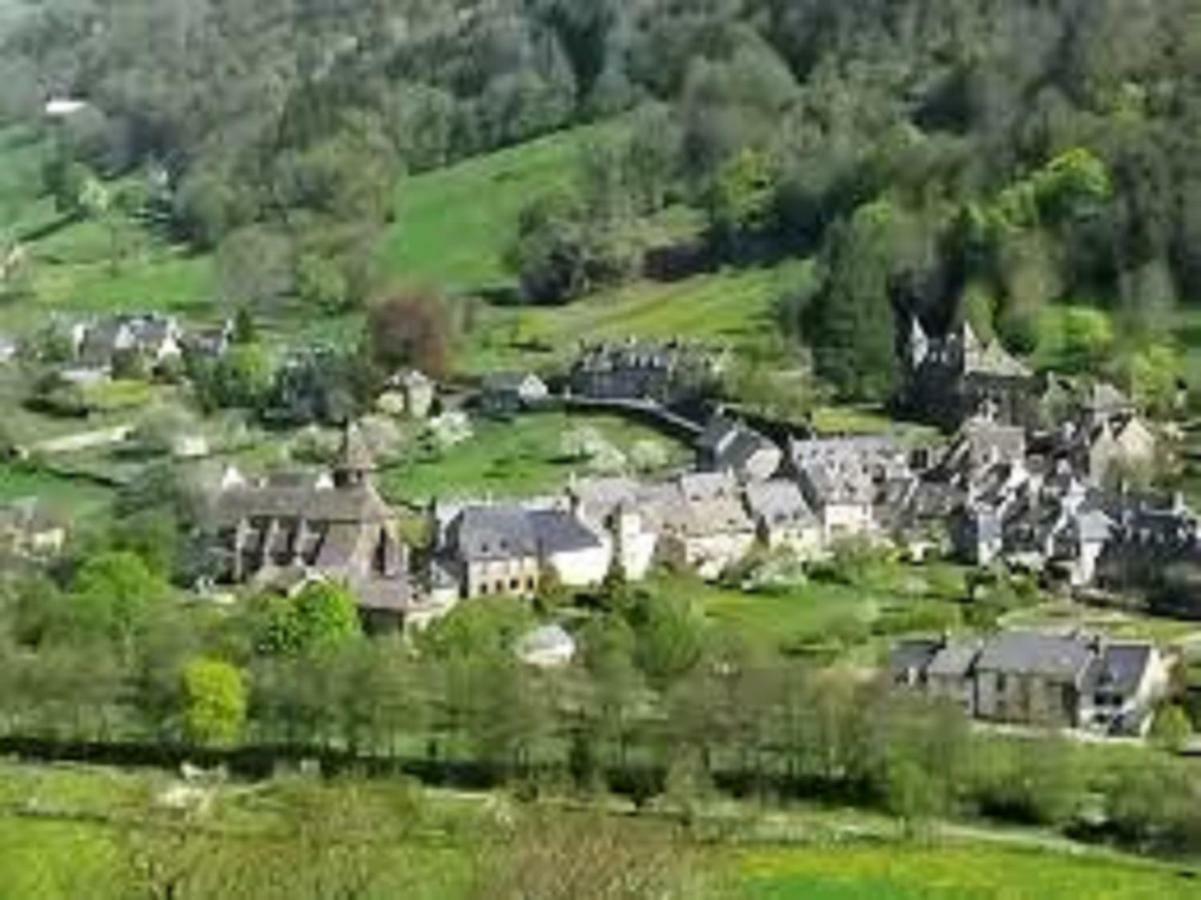 Gite De L Aspre Fontanges Exteriör bild